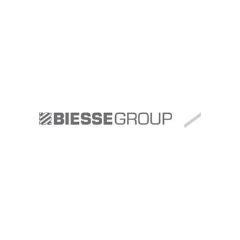 logo biessegroup