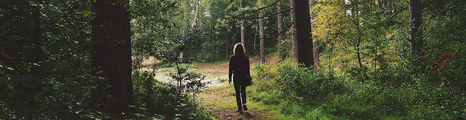 Mastère spécialisé® Médiation territoriale, RSE - Filière forêt bois - ESB