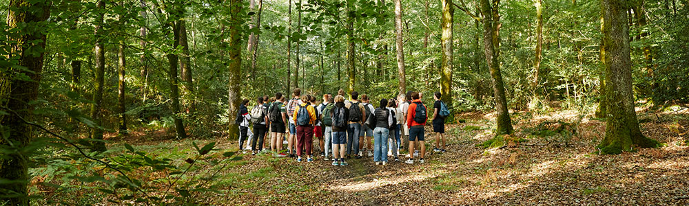 Nos étudiants sensibilisés à l'importance de le forêt